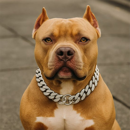collier pour chien chaine épaisse style luxe 