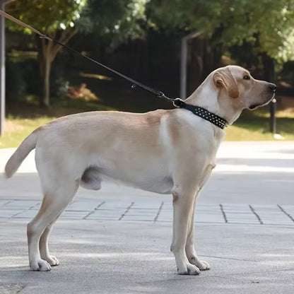 collier pour chien cuir accessoire élégant