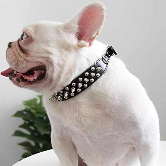 collier pour chien cuir avec clous