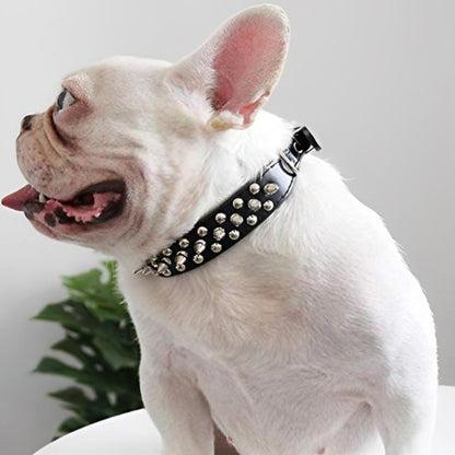 collier pour chien cuir avec clous