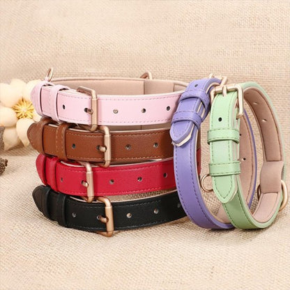 collier pour chien cuir classique durable