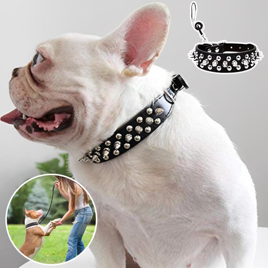 collier pour chien cuir style rock