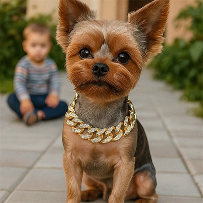 collier pour chien design robuste confort 