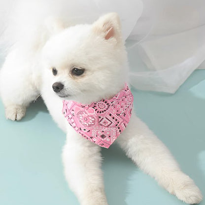 collier pour chien style élégant quotidien