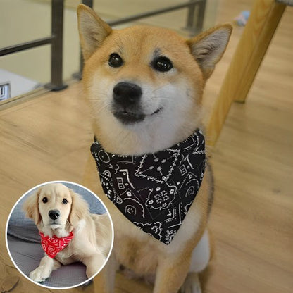 collier pour chien tissu doux léger