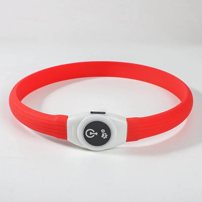Collier chien lumineux | Rechargeable USB