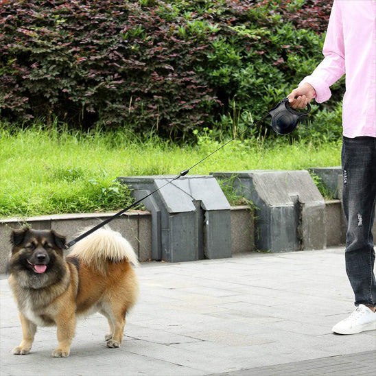contrôle promenade avec laisse pour chien enrouleur