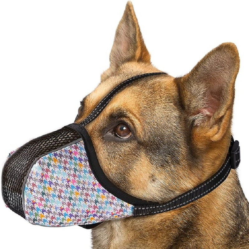 MUSELIERE CHIEN | CONFORT ASSURANCE