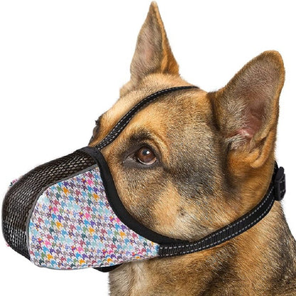 MUSELIERE CHIEN | CONFORT ASSURANCE