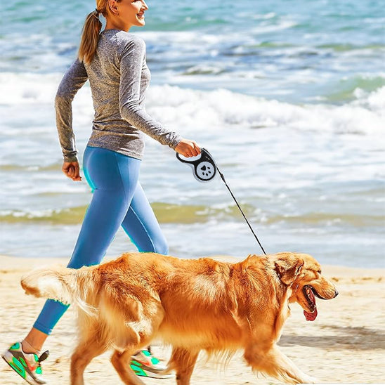 course chien avec laisse pour chien enrouleur