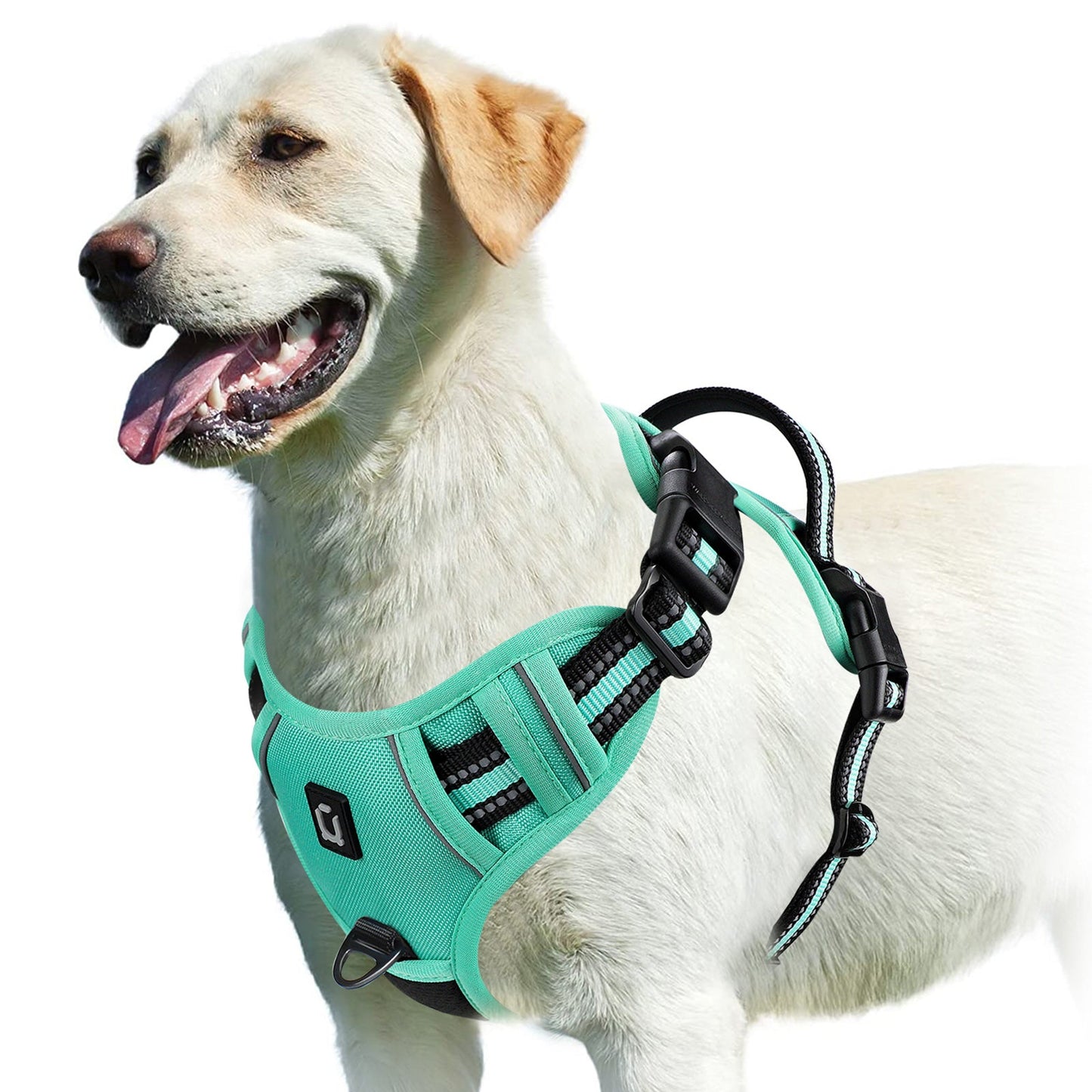 Harnais chien | Confort Optimal