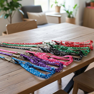 différentes couleurs laisse pour chien