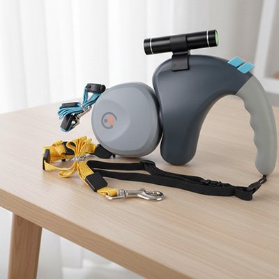 double laisse chien pratique pour balade quotidienne