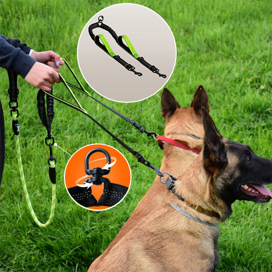 double laisse pour chien résistante