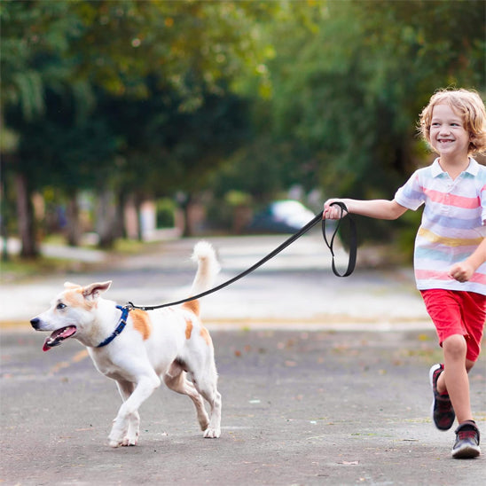 enfant et chien courent avec laisse pour chien