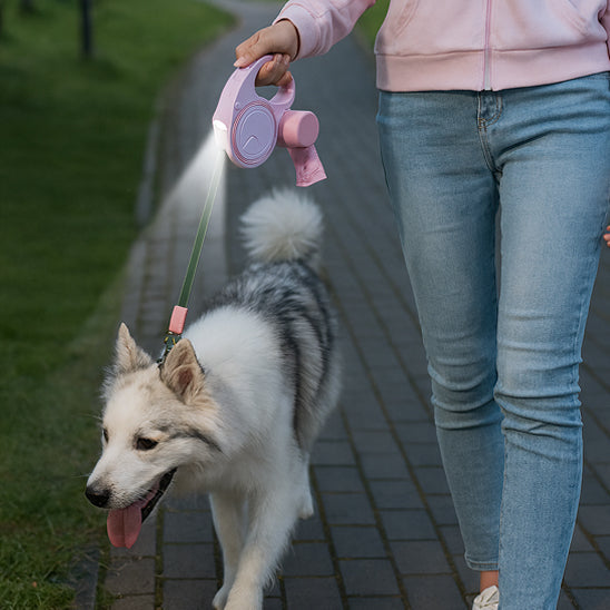 femme balade chien avec laisse pour chien enrouleur