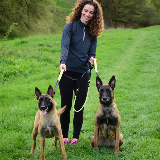 femme et deux grands chiens avec double laisse pour chien