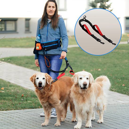 femme mains libres avec double laisse pour chien