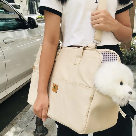 femme porte petit chien avec sac transport chien