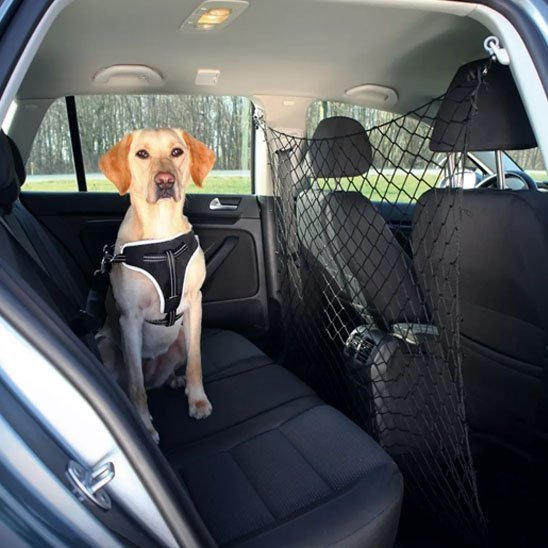 Filet pour chien voiture comme barrière 