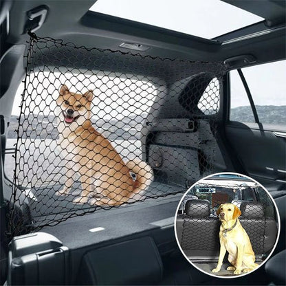 chien isolé dans le coffre avec Filet pour chien voiture