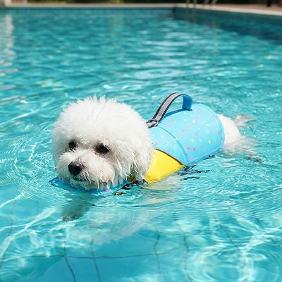gilet de sauvetage chien flottant sécurisé