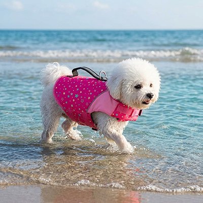 gilet de sauvetage chien pour baignade