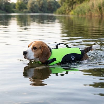 gilet de sauvetage chiens natation sécurisée