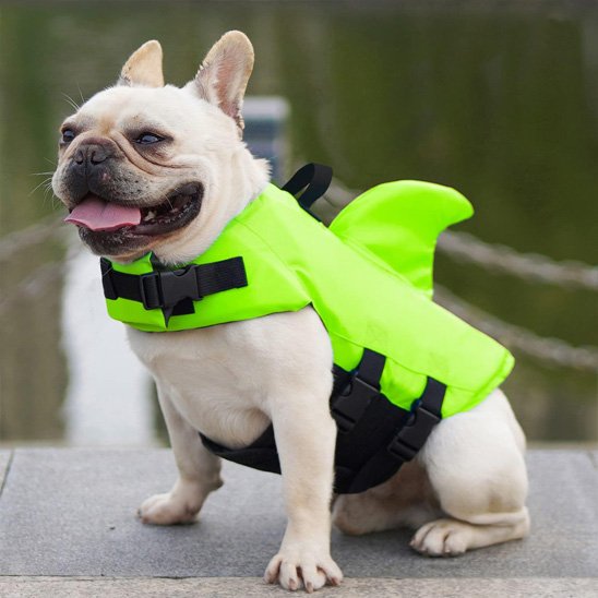 gilet de sauvetage pour chiens flottant sécurité piscine