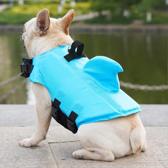 gilet de sauvetage pour chiens nautique haute flottabilité