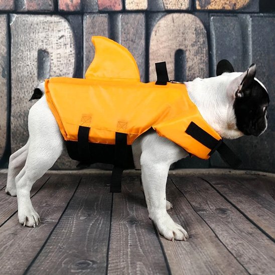 gilet de sauvetage pour chiens sécurisé sports nautiques