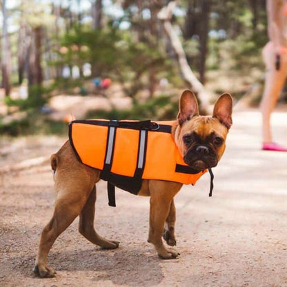 gilets de sauvetage chien bandes réfléchissantes