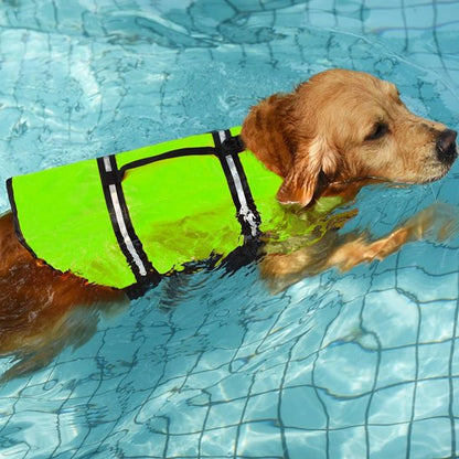 gilets de sauvetage chien flottaison renforcée