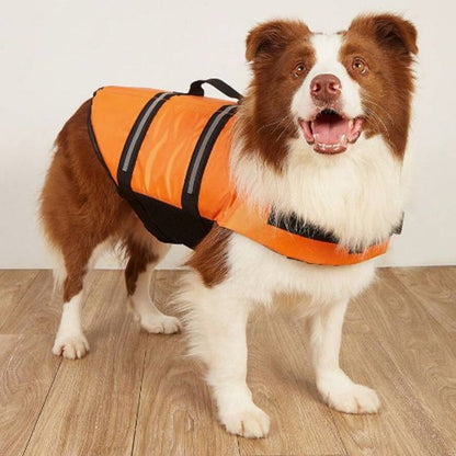 gilets de sauvetage chien poignée sécurité