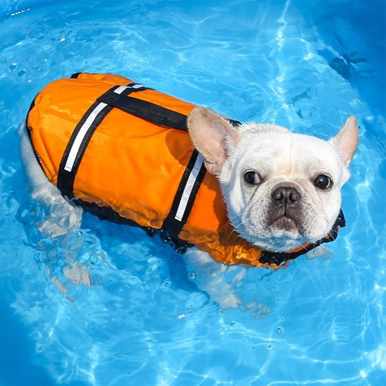 gilets de sauvetage chien réglables confortables