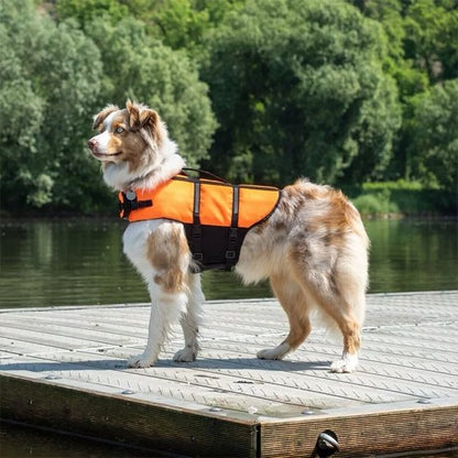 gilets de sauvetage chien sécurité natation