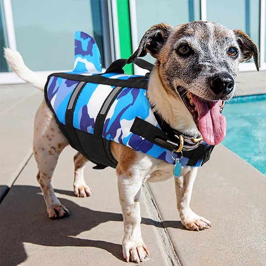 gilets de sauvetage pour chien flottabilité renforcée