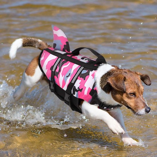 gilets de sauvetage pour chien natation sécurisée
