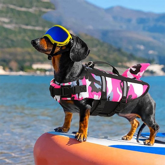 gilets de sauvetage pour chien sécurité aquatique