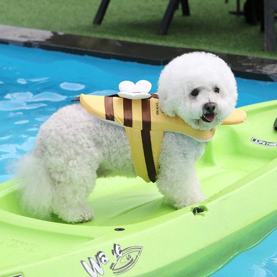 gilets de sauvetage pour chiens réglables