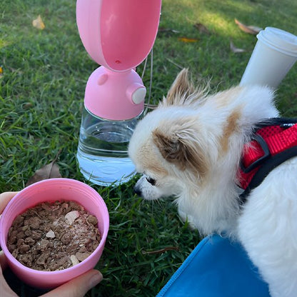 gourde chien compacte extérieur 