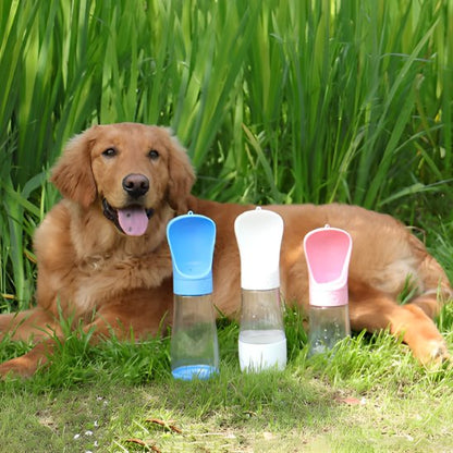 gourde chien compacte légère transport