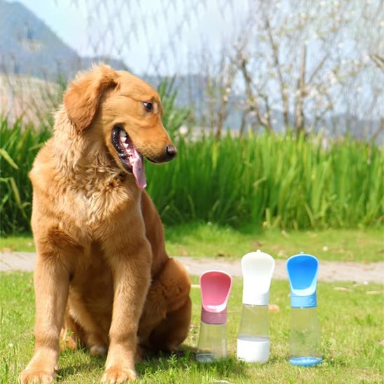 gourde chien design ergonomique résistante 