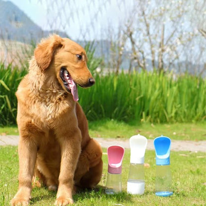 gourde chien design ergonomique résistante 