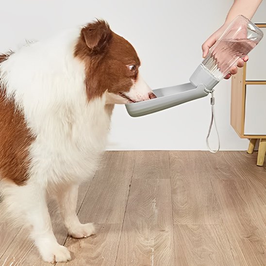 gourde chien design ergonomique solide