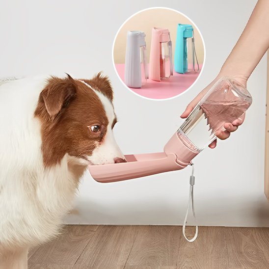gourde chien distributeur eau portatif
