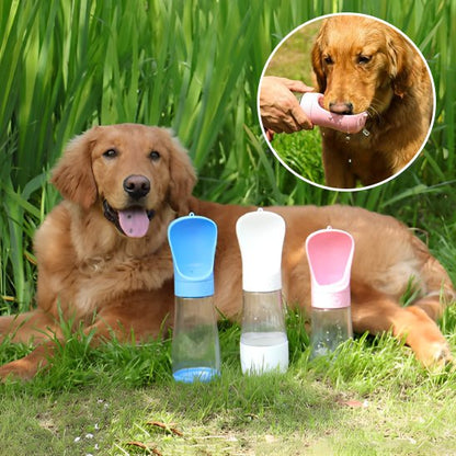 gourde chien facile utilisation extérieur