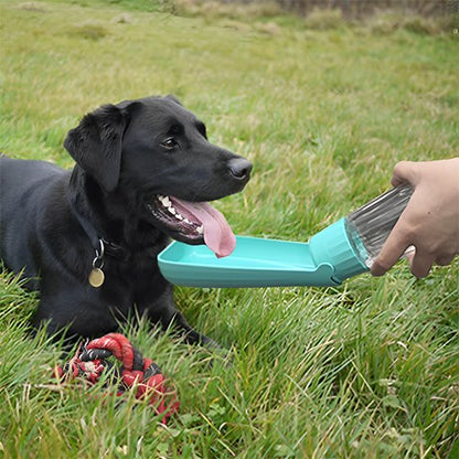 gourde chien hydratation facile déplacement