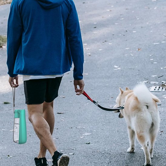 gourde chien léger résistant extérieur 