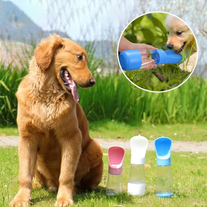 gourde chien pliable pratique voyage